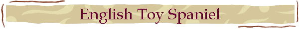 English Toy Spaniel